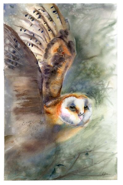 Owl Flying - Original Watercolor Painting. Size: 15x22 inches, Price: 800$