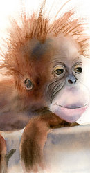 Monkey-watercolor-art-print-by-PaintisPassion