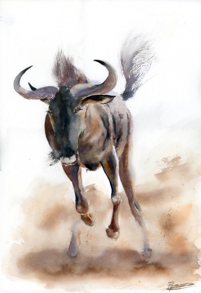 Original Watercolors