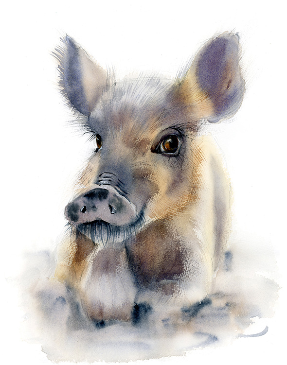 ©PaintisPassion-animal-watercolor-art-nursery-decor