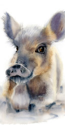 ©PaintisPassion-animal-watercolor-art-nursery-decor