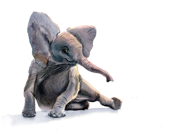 ©PaintisPassion-watercolor-art-animal-nursery-decor