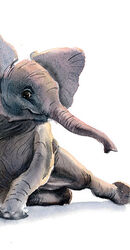 ©PaintisPassion-watercolor-art-animal-nursery-decor