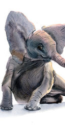 ©PaintisPassion-watercolor-art-animal-nursery-decor