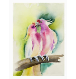 Parrot's-kiss