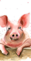 Pig-watercolor-painting-wall-art-decor