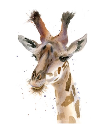 Giraffe portrait - Original Watercolor Painting, SOLD Giraffe portrait - Watercolor Print