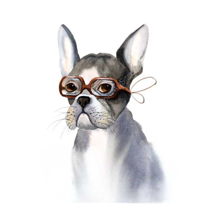 Whimsical dog