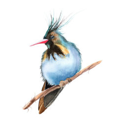 Blue bird