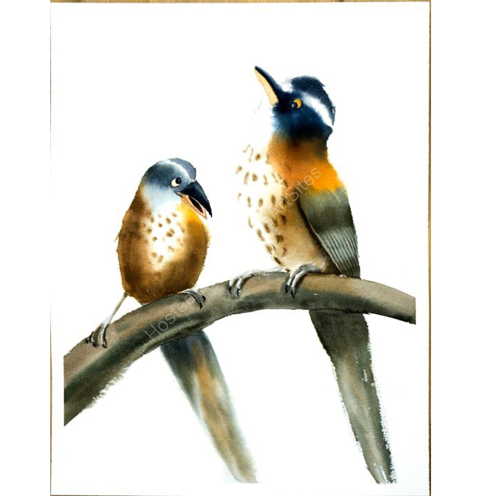 Two birds
