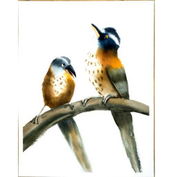 Two birds
