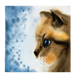 cat-portrait