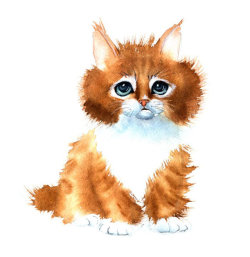 cat-small