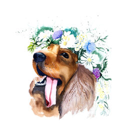 dog with flowers crown