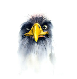 The eagle