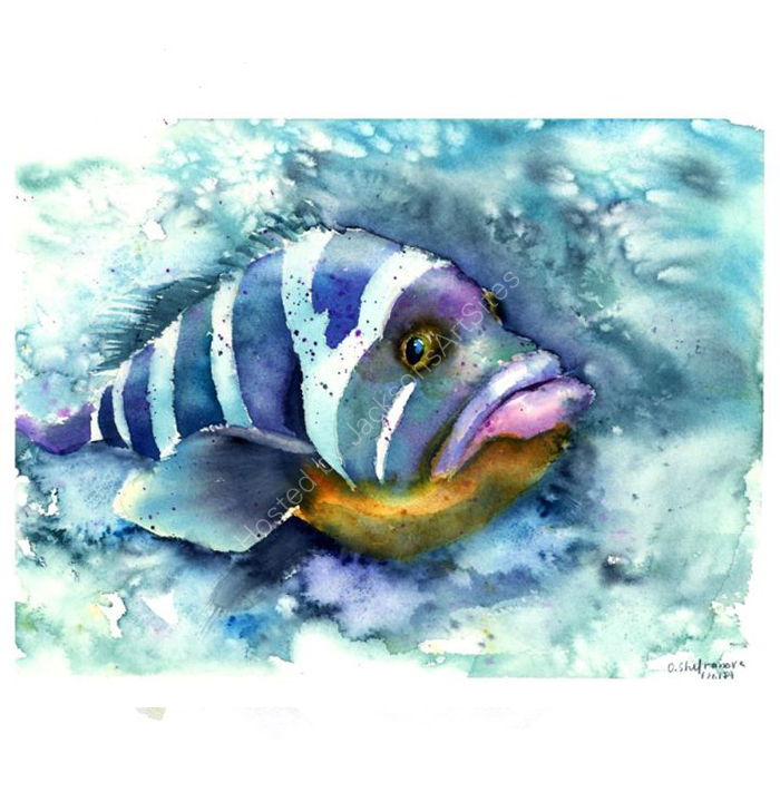 fish2