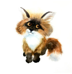 fox small