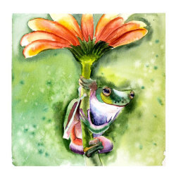 frog