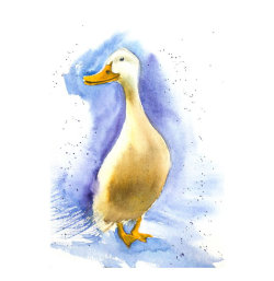 goose2