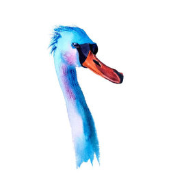 goose