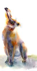 Sunny Rabbit - Original Watercolor painting by PaintisPassion Size: 10.2 x 15 in Sunny Rabbit - Original Watercolor painting 748