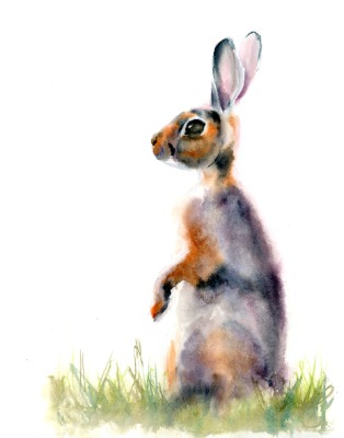 Rabbit - Original Watercolor Painting, Size 11x15 in, Price 200$ Rabbit - Watercolor print
