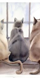Three cats - Original Watercolor Painting By PaintisPassion (size: 15 x 12.5 in) Three cats - Original Watercolor Painting By PaintisPassion