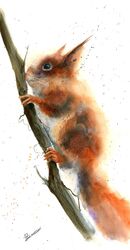 Squirrel on the tree - Original Watercolor Painting Squirrel on the tree - Original Watercolor Painting 755
