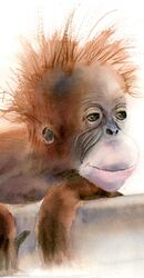 THE MONKEY - Original Watercolor Painting by PaintisPassion; size: 11.5 x 9.7 in THE MONKEY - Original Watercolor Painting by PaintisPassion; size: 11.5 x 9.7 in 341