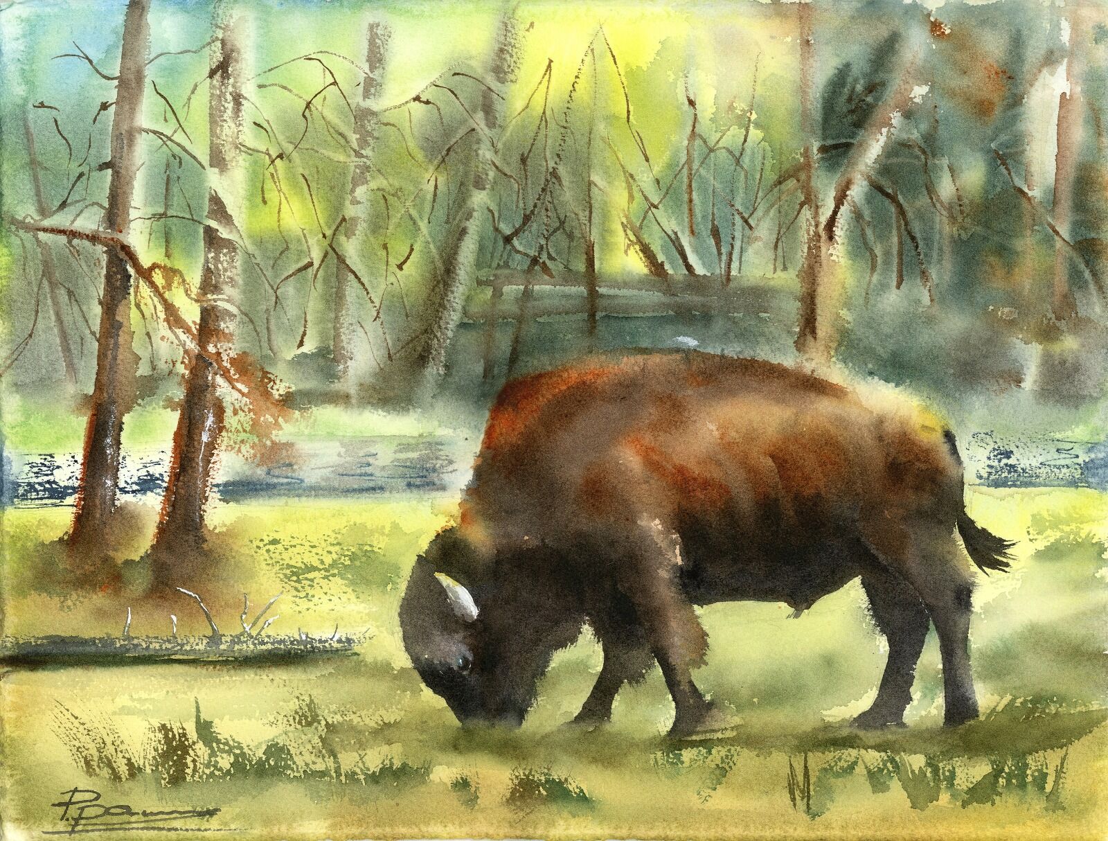 Bison in the Forest - Original Watercolor Painting