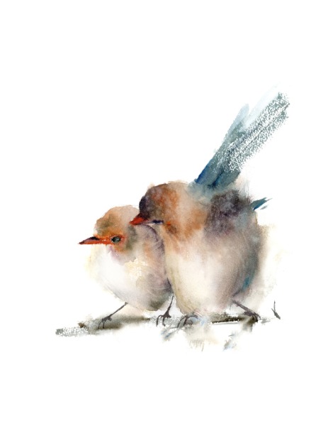 Wrens Birds - Original Watercolor Painting. SOLD