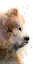 Bear portrait - Original Watercolor Painting by PaintisPassion. Size: 14 x 10 in Bear portrait - Original Watercolor Painting by PaintisPassion. 366