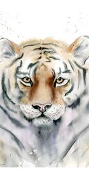 Tiger portrait - Original watercolor Painting by PaintisPassion Tiger portrait - Original watercolor Painting by PaintisPassion 374