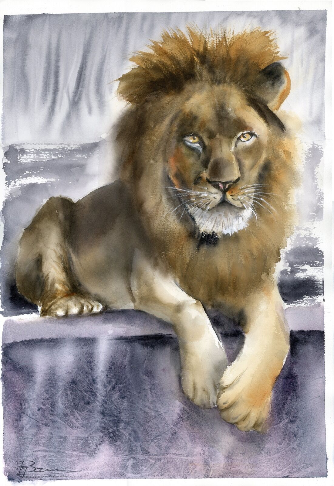 Quiet Authority -Lion Watercolor Painting 1514