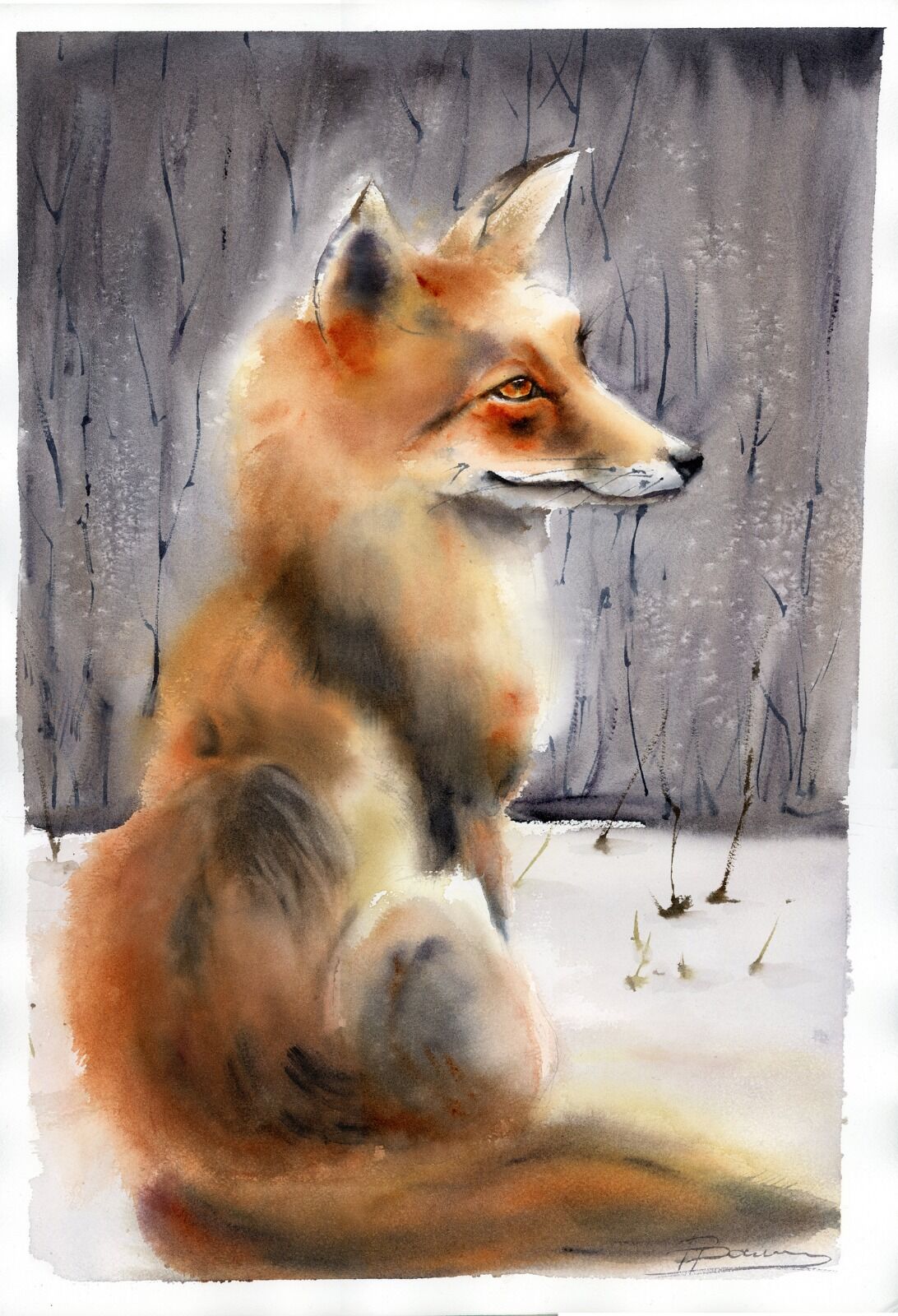 Silent Witness, Watercolor fox 1517