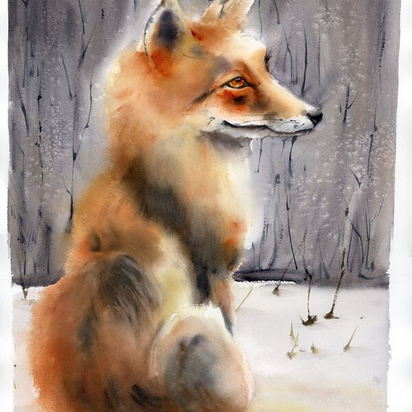 Silent Witness, Watercolor fox 1517