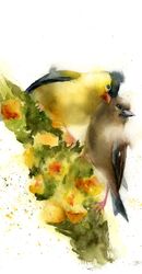 Birds in Love - Original Watercolor Painting Birds in Love - Original Watercolor Painting (854)