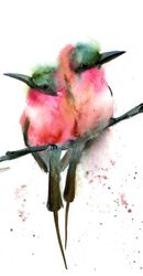 Pair of Bee Eaters - Original Watercolor Painting Pair of Bee Eaters - Original Watercolor Painting (858)