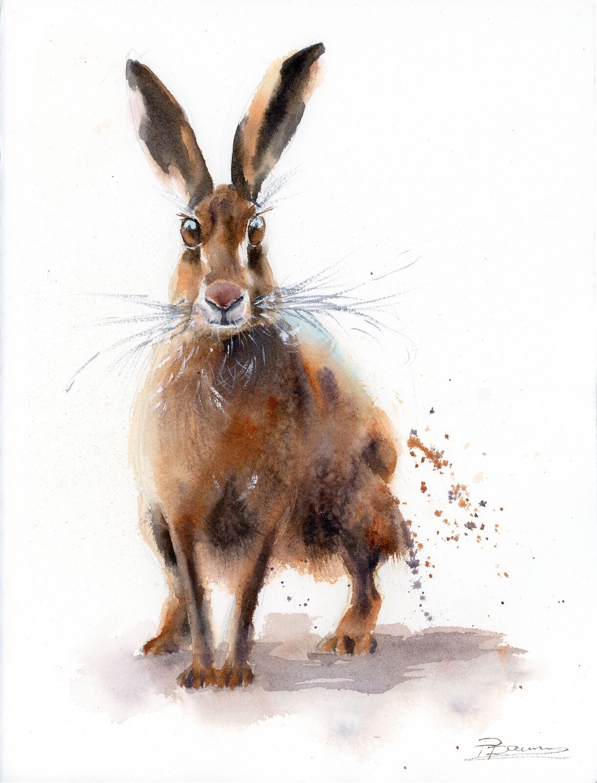 Curious Hare - Original Watercolor Painting 1540