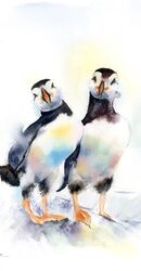 Pair of puffins - Original Watercolor Painting by PaintisPassion Pair of puffins - Original Watercolor Painting 869