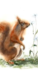 Squirrel with flower- original watercolor painting by PaintisPassion. Size: 12 x 14.5 in Squirrel with flower- original watercolor painting 882