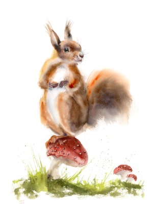 Squirrel and Mushroom - Original Watercolor Painting, Size 11.9 x 15.7 in, Price 220$ Squirrel and Mushroom- Fine Art Print
