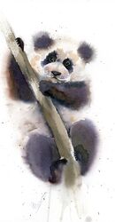Panda on the tree - Original Watercolor Painting Panda on the tree - Original Watercolor Painting 401