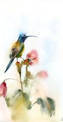 Green Hummingbird and flower, Size: 10 x 14 Green Hummingbird and flower 896