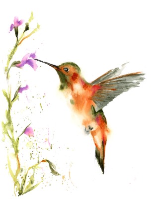 Hummingbird and flower - Original Watercolor Painting. Size: 11.7 x 15.2 inches. Price: 150$ Hummingbird and flower