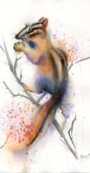 Chipmunk- Original watercolor painting by PaintisPassion Chipmunk- Original watercolor painting by PaintisPassion 425