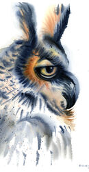 Original Watercolor Owl painting Original Watercolor Owl painting B-58
