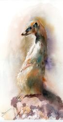 SURICATE - Original Watercolor Painting by PaintisPassion (Size: 10 x 16 in) SURICATE - Original Watercolor Painting 504