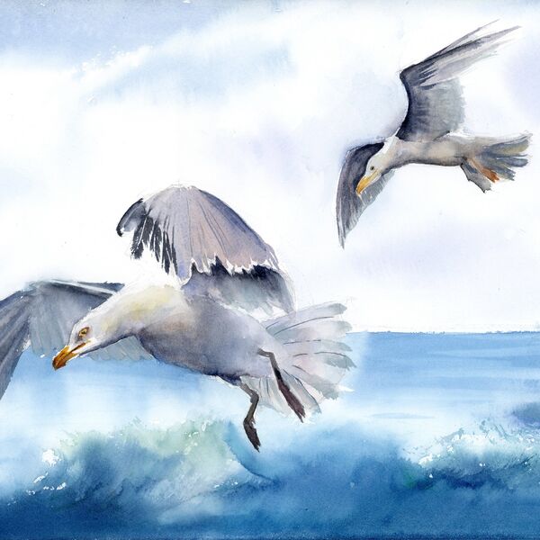 Beneath the Waves  1352