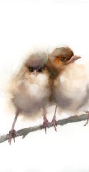 Pair of wrens - Original Watercolor Painting Pair of wrens - Original Watercolor Painting (659)